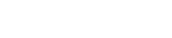 GLOBAL STANDARD GLOBAL TECHNOLOGY